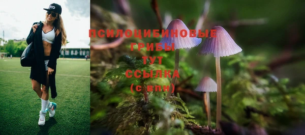 марки lsd Гусиноозёрск