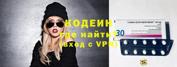 индика Горняк