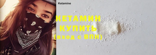 индика Горняк