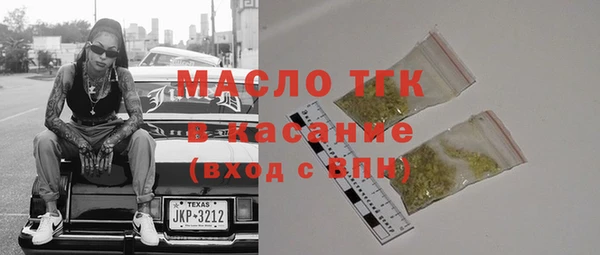индика Горняк