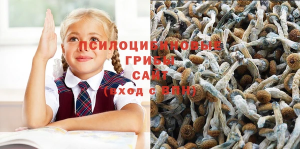 индика Горнозаводск
