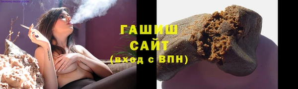 индика Горнозаводск