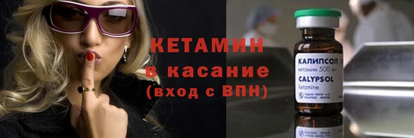 индика Горнозаводск