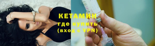 индика Горняк