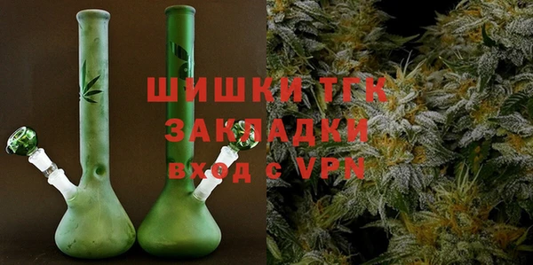 индика Горнозаводск