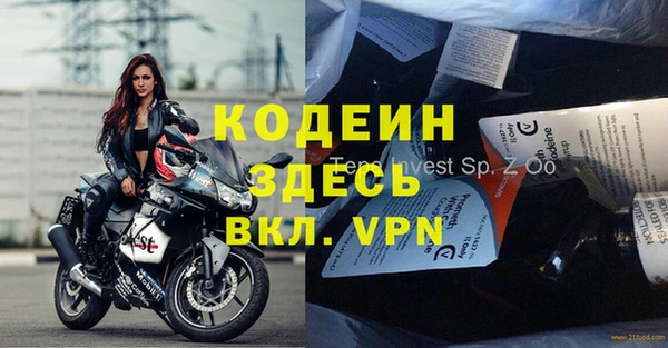 индика Горняк