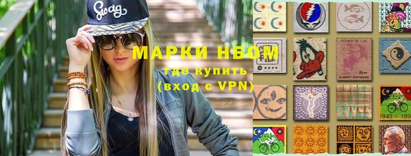 индика Горнозаводск