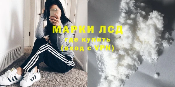 индика Горняк