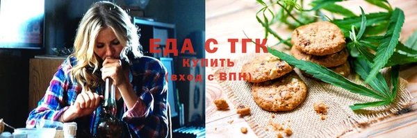 индика Горнозаводск
