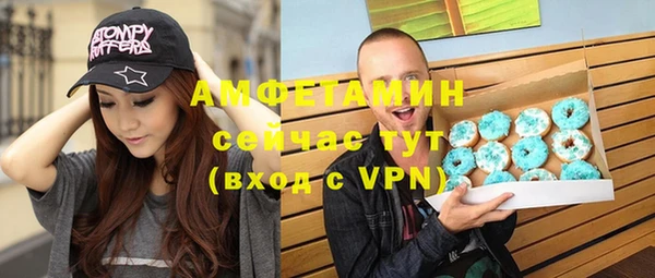 индика Горняк