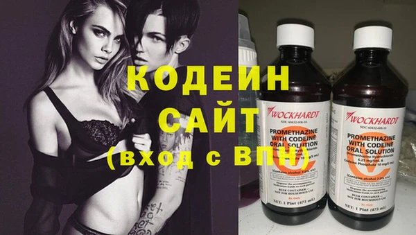 индика Горнозаводск