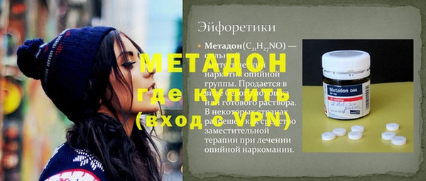 индика Горняк