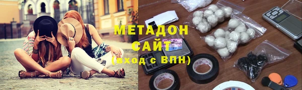 индика Горнозаводск