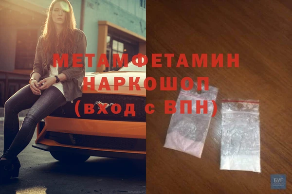 индика Горнозаводск