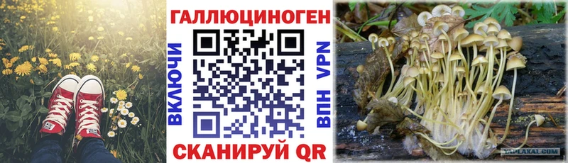 Галлюциногенные грибы GOLDEN TEACHER  купить закладку  Заречный 